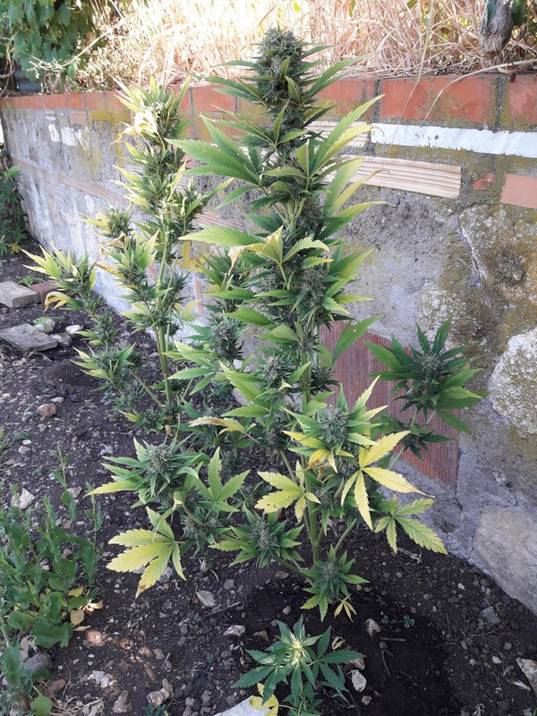 20220614-085321.jpg' alt='20220614-08532